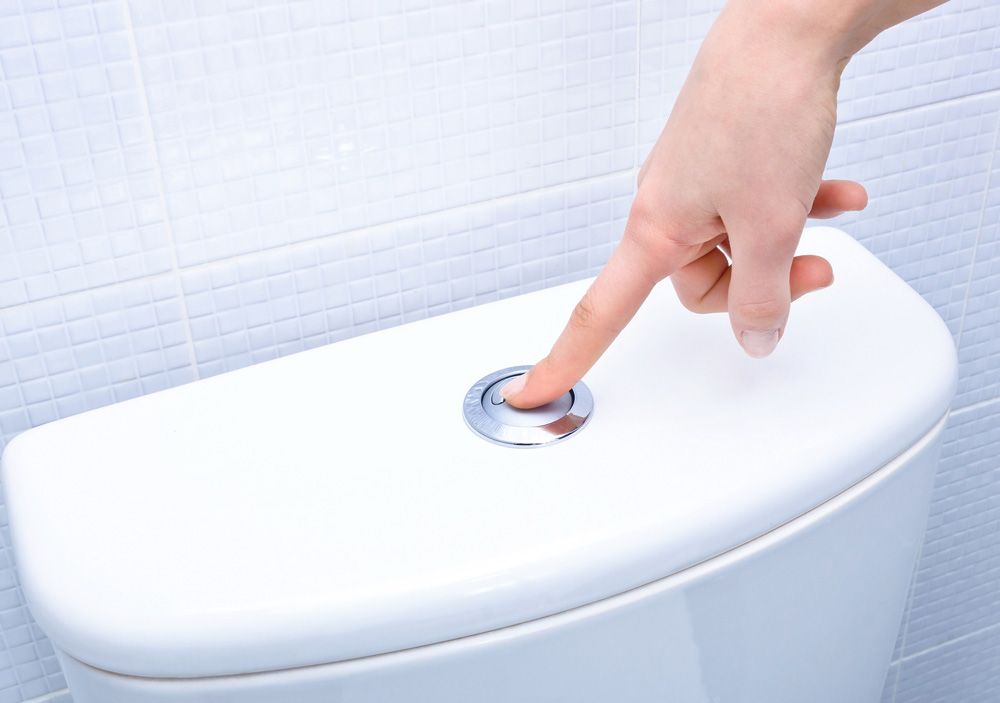 Toilet Flushing Systems    — Bendigo VIC — Town Tanks
